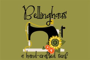 Bellinghaus: The Serif Font That Elevates Every Campaign