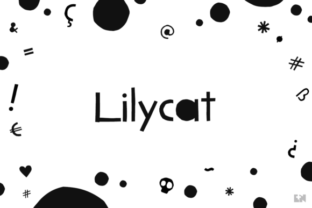 Lilycat for Creative Campaigns and Brand Identity