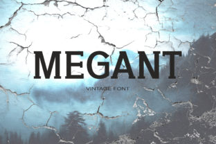 Megant: A Fun and Sweet Serif Font for Branding