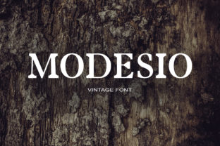 Modesio: A Serif Font That Elevates Branding with Elegance