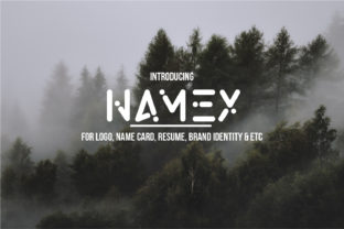 Namex: The Font That Boosts Your Brand’s Visual Identity