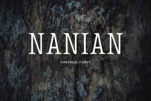 Nanian: A Serif Font for Modern Editorial Design