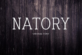Natory: A Serif Font for Modern Web Design