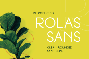 Rolas Sans for Modern Campaign Design and Brand Identity