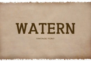 Watern: The Serif Font That Elevates Western Branding